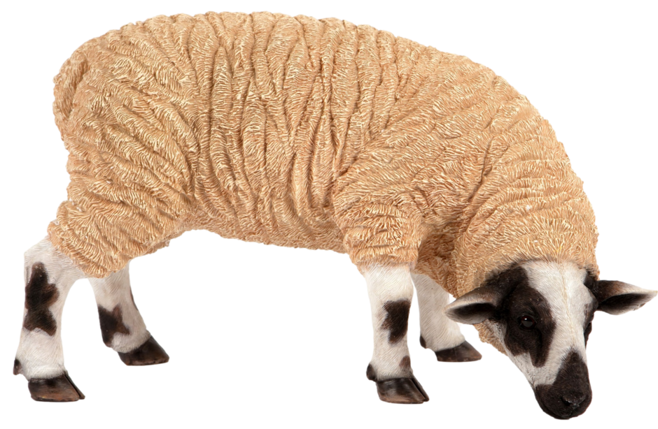 VM2858850 - Grazing Sheep Garden Ornament ResinHeight 28cm Width 24cm Depth 46cm